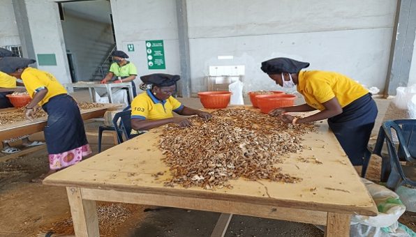 Horizon Africa Secures $5m Loan Facility to Boost Expansion Drive