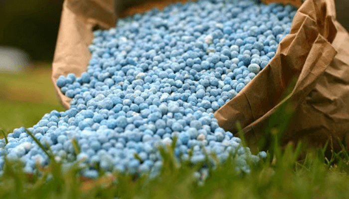 Rising Fertiliser Prices Push Nigerian Farmers Towards Cash Crops