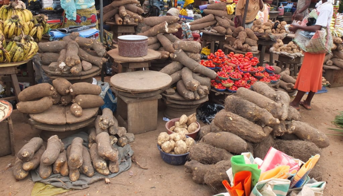 Relief at Last: Economists Explain Why Food Prices Are Finally Dropping Across Nigeria”